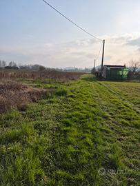 Terreno agricolo località Selvazzano Dentr
