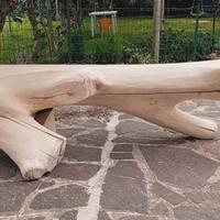 panca unica 