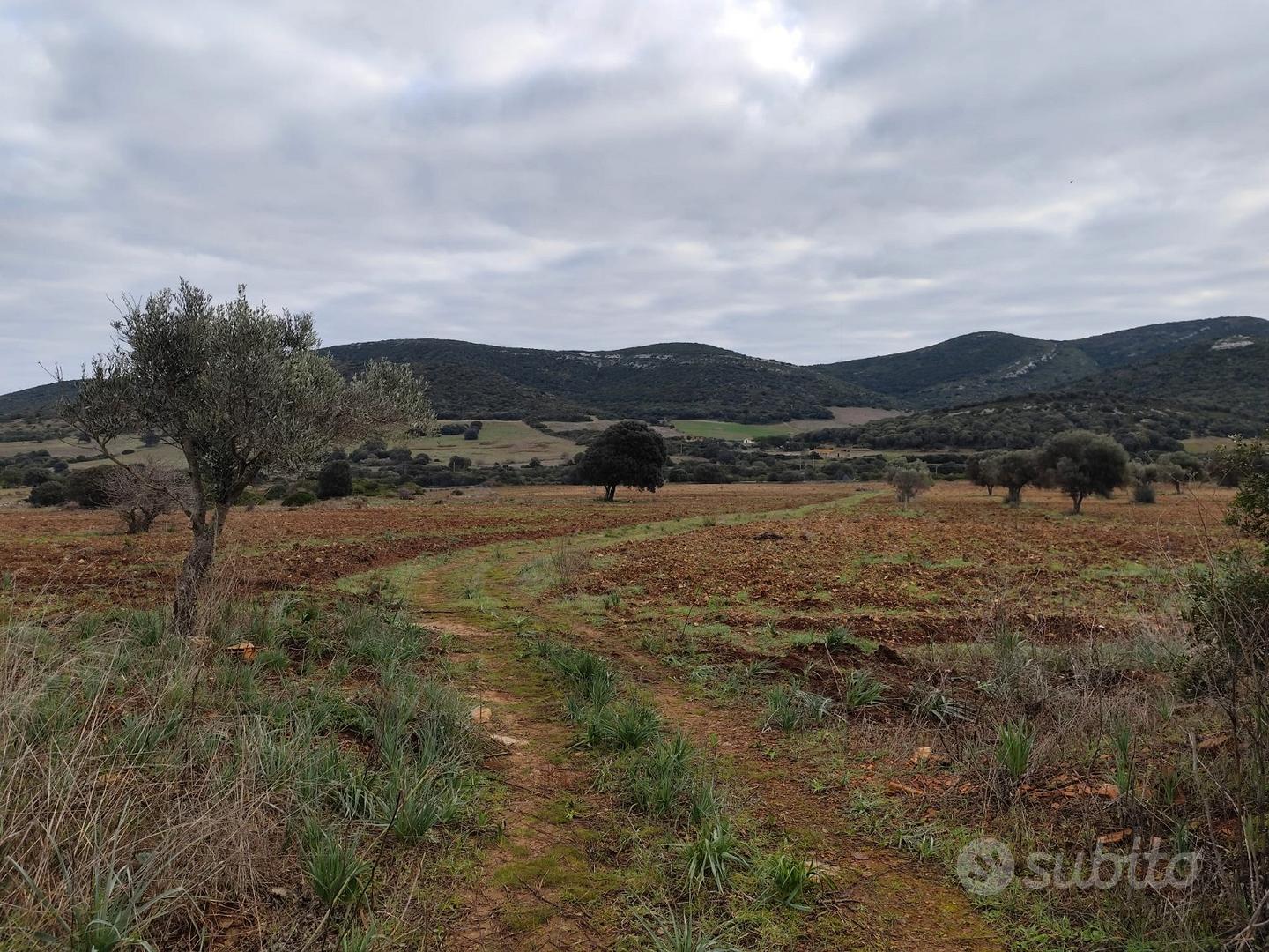 Terreno 31 ettari - Vista 2