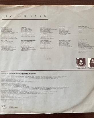 LP 33 giri vinile - senza copertina esterna