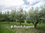 Immagine 9