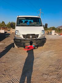 Renault mascotte