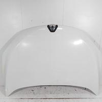 651009018R COFANO ANTERIORE RENAULT MEGANE III (B9