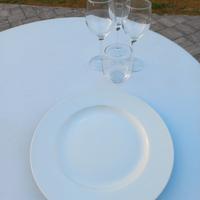 Piatti porcellana e finger food per ristorazione