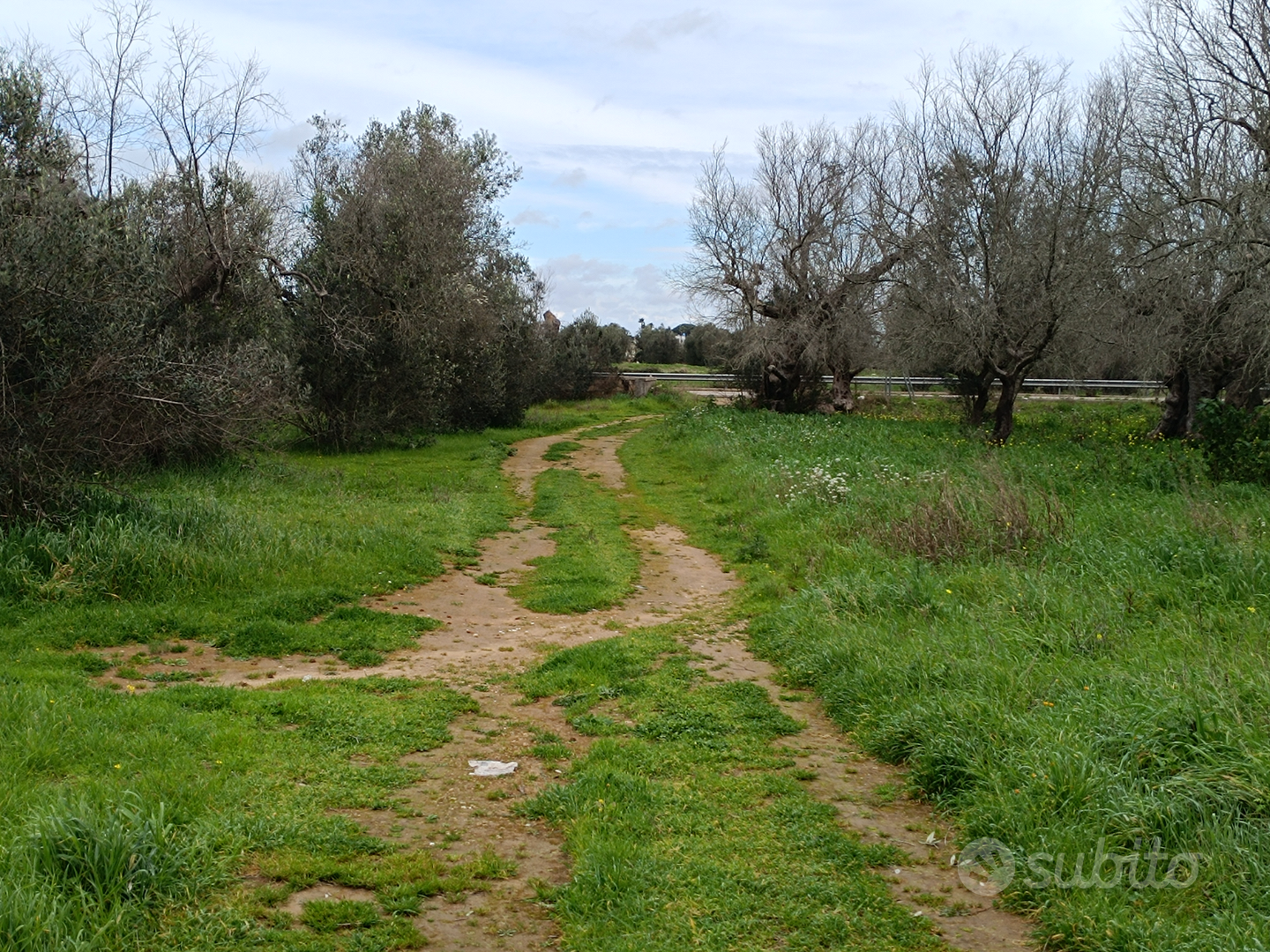 Terreno agricolo - Vista 2