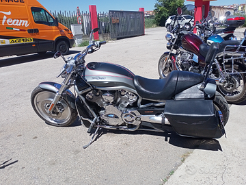Harley Davidson V-ROD