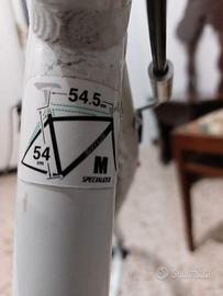 Bici muscolare Specialized Sirrus 8 cambi shimano