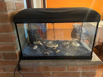 Acquario spazioso completo