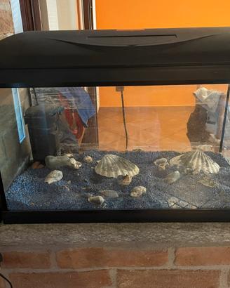 Acquario spazioso completo