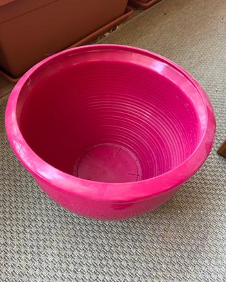 Vaso fuxia da interno