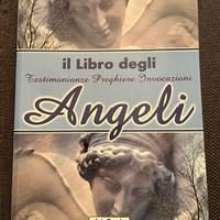 Il Libro degli angeli Federica Orlando