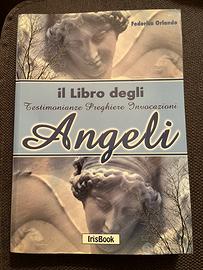 Il Libro degli angeli Federica Orlando