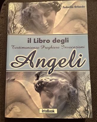 Il Libro degli angeli Federica Orlando