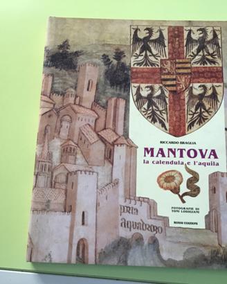 Mantova, la calendula e l’aquila