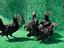 Immagine 3