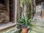 Immagine 15