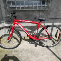 Mountain bike