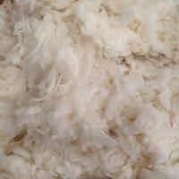 Lana di alta qualità cardata