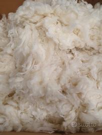 Lana di alta qualità cardata