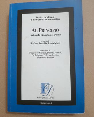AL PRINCIPIO invito alla filosofia del diritto 