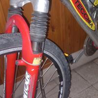 bicicletta bottecchia 