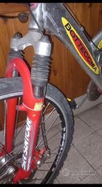 bicicletta bottecchia 