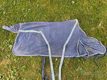 Coperta cotone cavallo