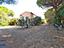 Immagine 21