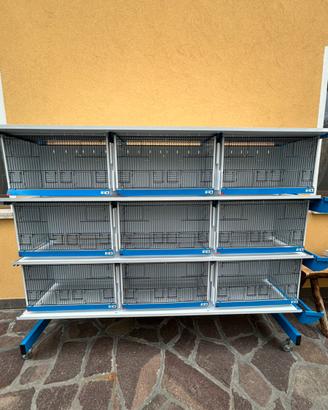 Batteria di gabbie