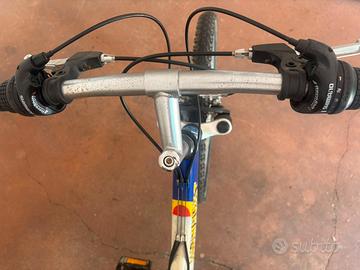 Bicicletta Sportiva