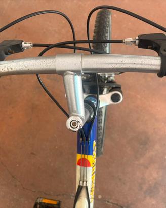 Bicicletta Sportiva