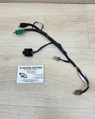 CABLAGGIO FARO TMAX 2001 2007 VE E NE