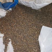 Perlite Argilla Espansa