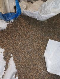 Perlite Argilla Espansa