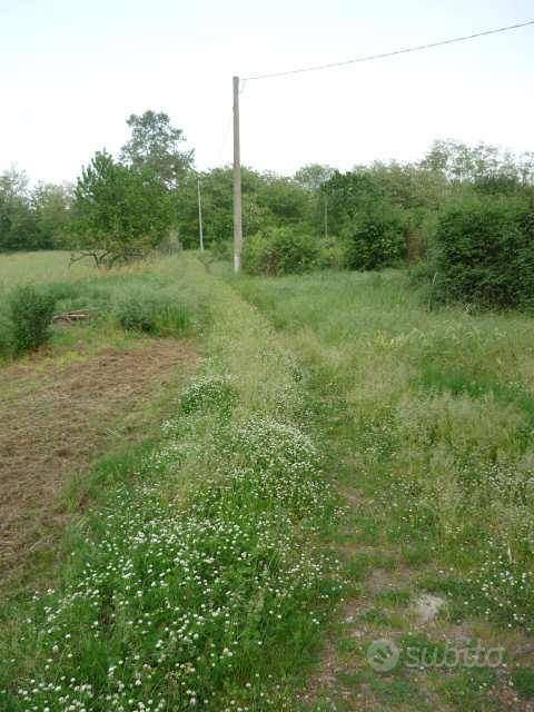 Rustico / Casale di 114 m² con 2 locali a Bientina - Vista 4
