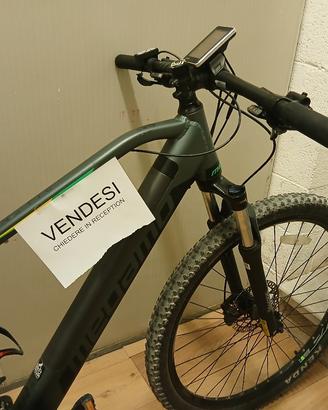 montanbike elettrica 