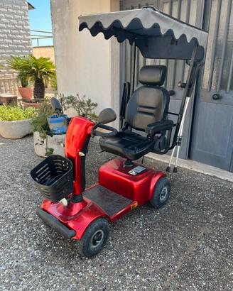 Carrozzina per disabili