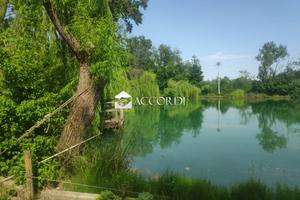 Rif.SW33_4| azienda agricola riese pio x