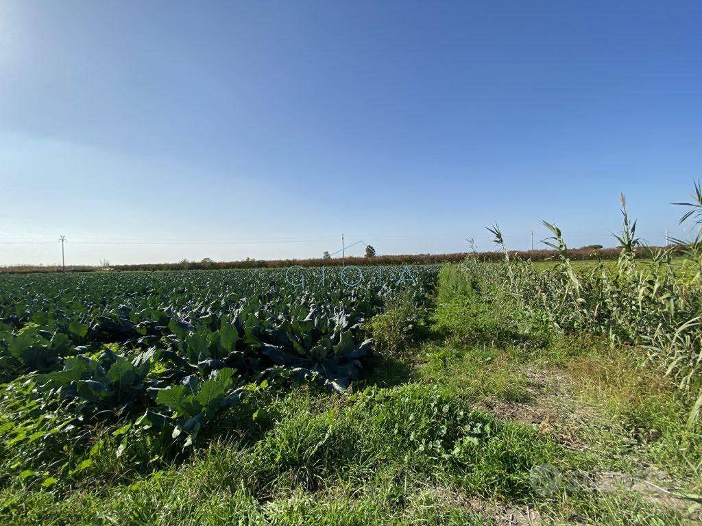 Terreno di 4500 m² a Mondragone - Vista 3