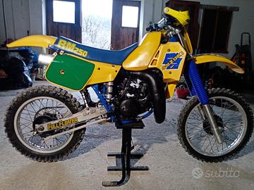 Suzuki rm250
