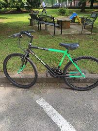 bicicletta Mountain bike