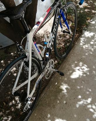  Bici da corsa