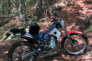 Beta Alp 2T motoalpinismo