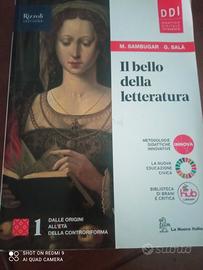 Libro:il bello della letteratura 