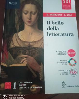 Libro:il bello della letteratura 