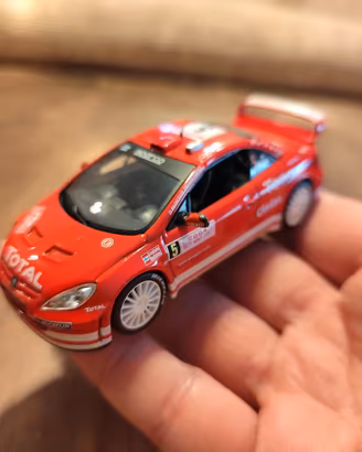 Peugeot 307 WRC Rallye Montecarlo 2004, scala 1/43