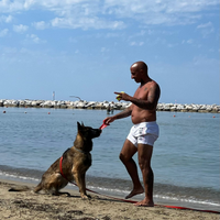 Maschio per monta femmina malinois