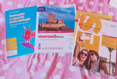 Libri 2° liceo linguistico Desanctis-Deledda