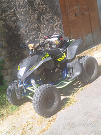 Altro Altro modello - 2024