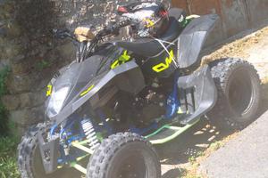 Altro Altro modello - 2024